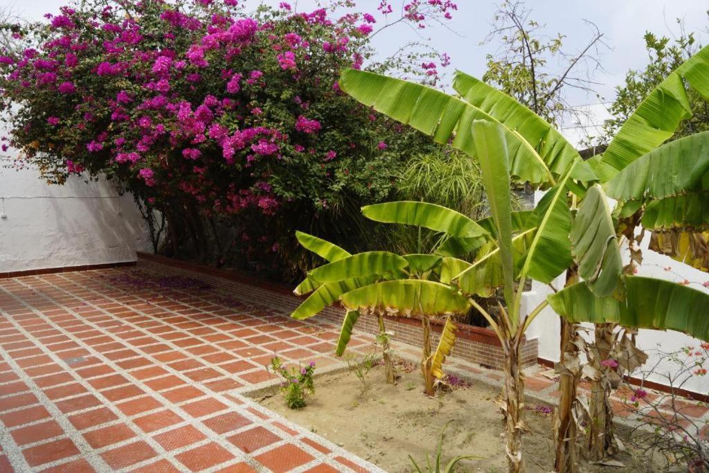 Hotel Mar Di Plata Barranquilla (Atlantico) Exterior foto